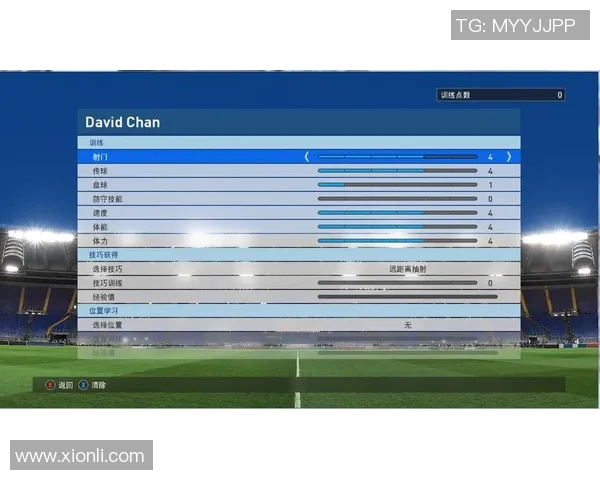 足球明星各自擅长的场上位置解析与职业生涯影响探讨